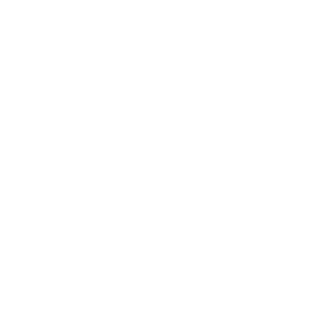 skill-icon