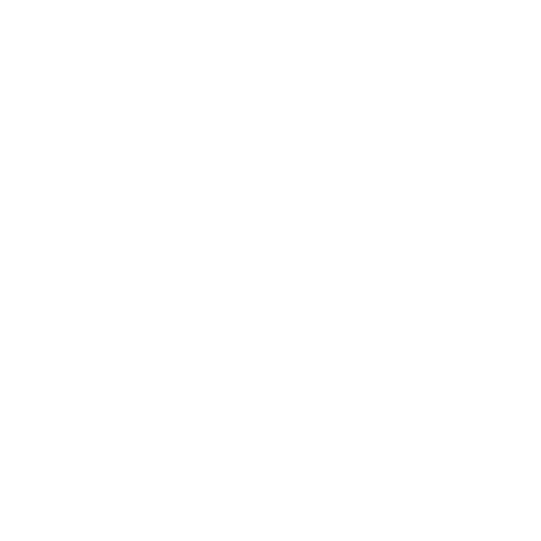 skill-icon