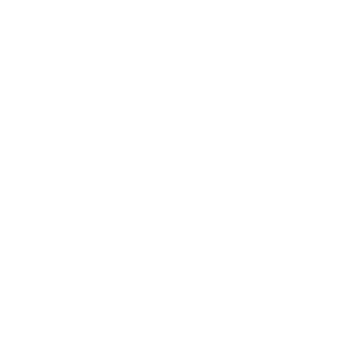 skill-icon